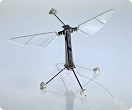 robobee-first-controlled-flight-01